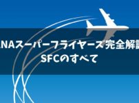 ANAスーパーフライヤーズ完全解説のポイント